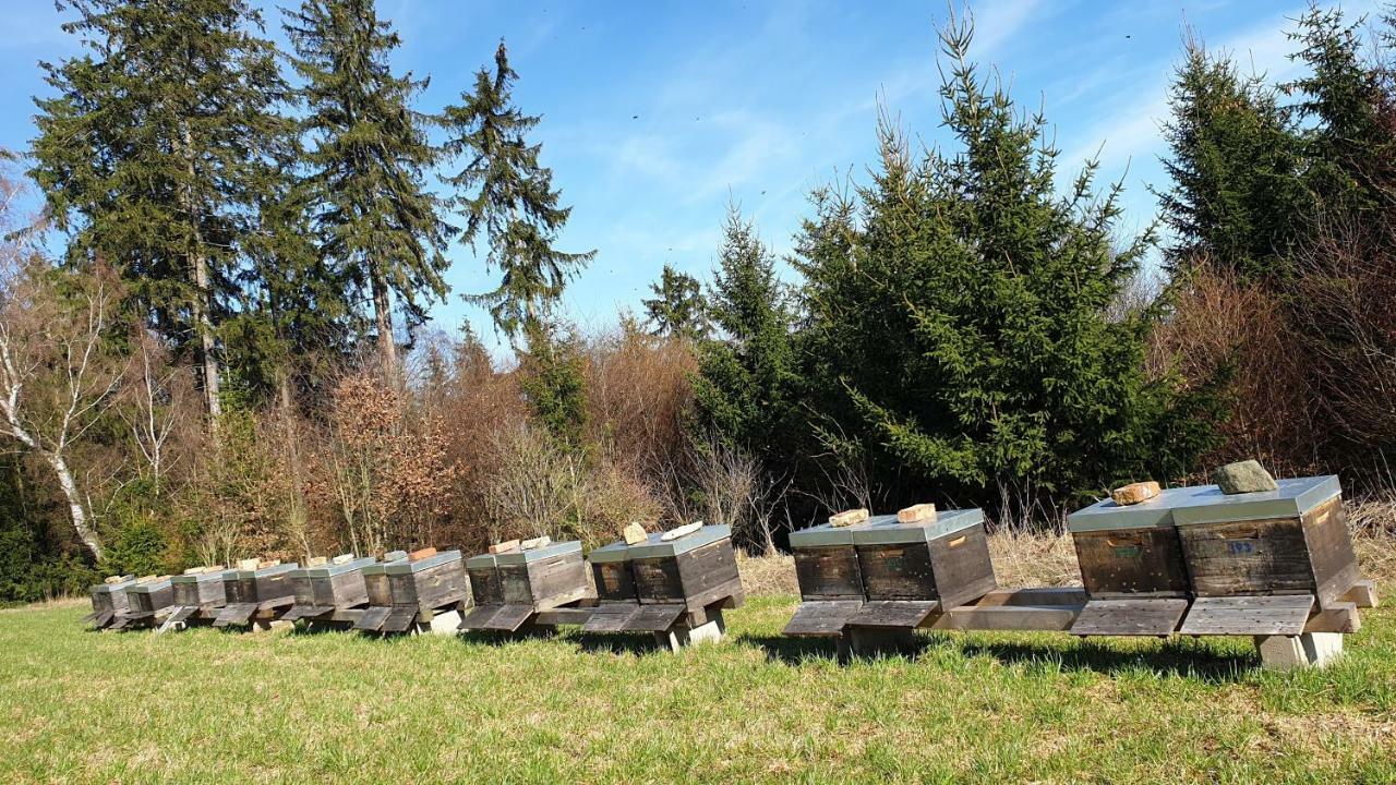 Ferienwohnung Gruengut Weckersdorf Luaran gambar